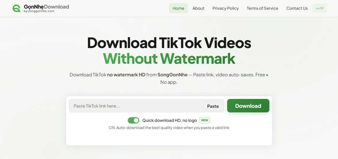 Usage guide for GọnNhẹDownload — TikTok video downloader without logo